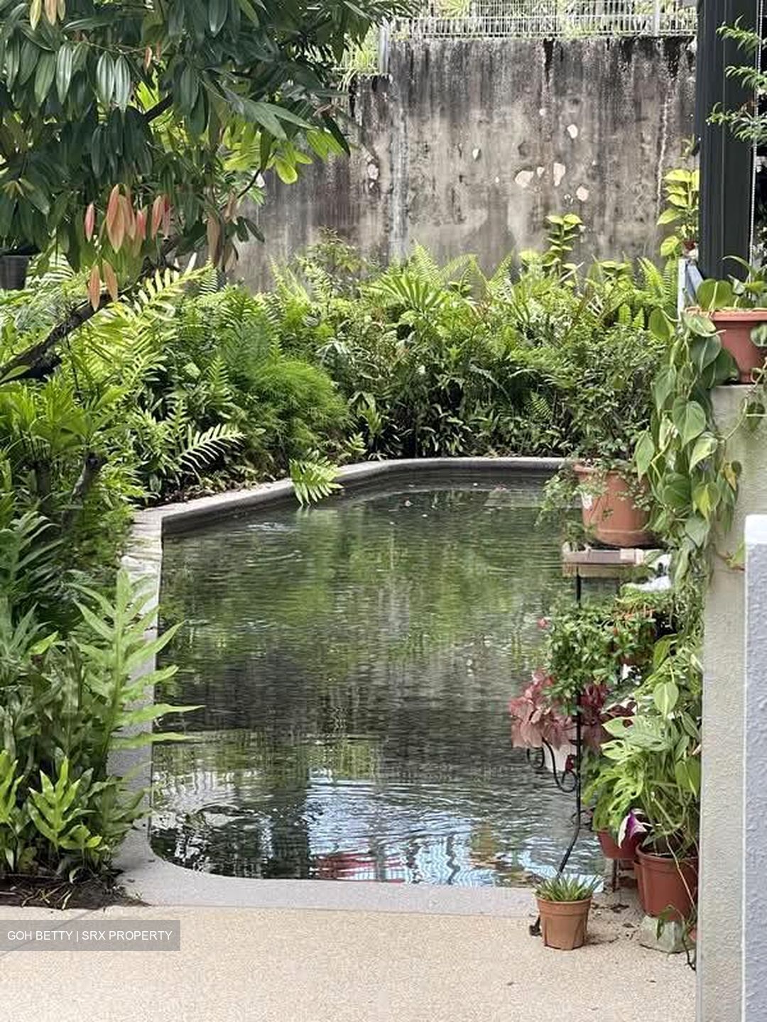 The Rainforest (D23), Condominium #567574751